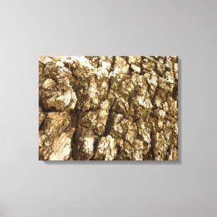 Boom Bark II Natuurlijke getextureerd ontwerp Canvas Afdruk