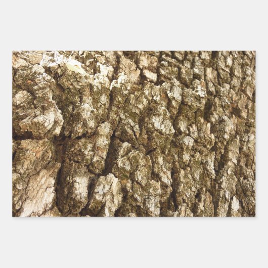 Boom Bark II Natuurlijke getextureerd ontwerp Inpakpapier Vel (Voorkant)