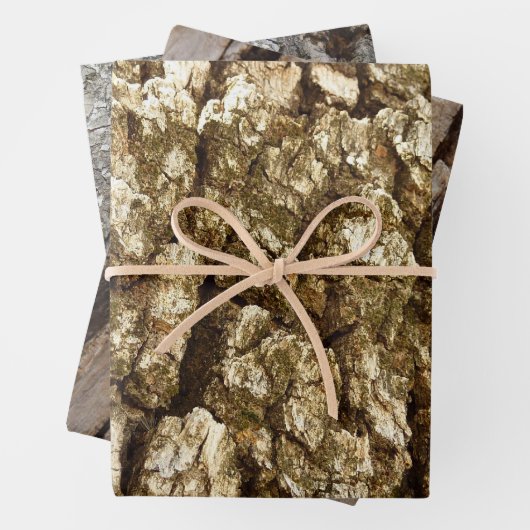 Boom Bark II Natuurlijke getextureerd ontwerp Inpakpapier Vel (In situ)