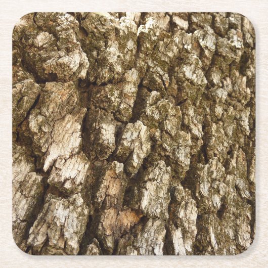 Boom Bark II Natuurlijke getextureerd ontwerp Kartonnen Onderzetters (Voorkant)