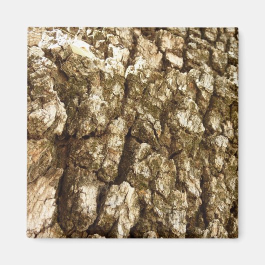 Boom Bark II Natuurlijke getextureerd ontwerp Magneet (Voorkant)