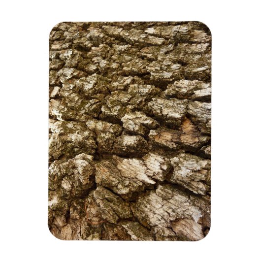 Boom Bark II Natuurlijke getextureerd ontwerp Magneet (Verticaal)