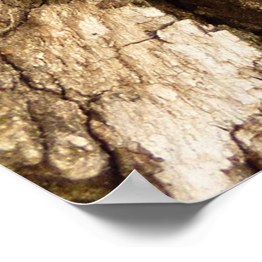 Boom Bark II Natuurlijke getextureerd ontwerp Poster (Hoek)