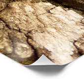 Boom Bark II Natuurlijke getextureerd ontwerp Poster (Hoek)