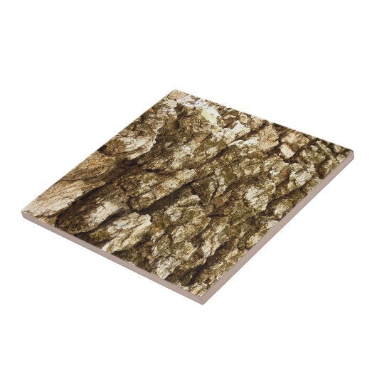 Boom Bark II Natuurlijke getextureerd ontwerp Tegeltje (Zijkant)