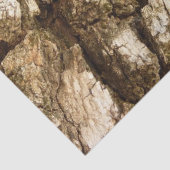 Boom Bark II Natuurlijke getextureerd ontwerp Tissuepapier (Detail)