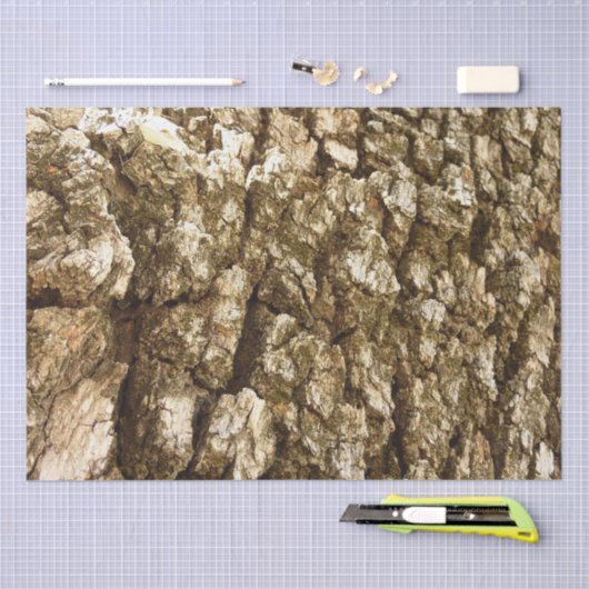 Boom Bark II Natuurlijke getextureerd ontwerp Tissuepapier (Craft)