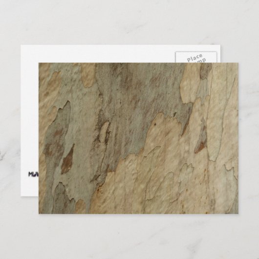 Boom Bark III Natuurlijk Abstract gestructureerd o Briefkaart (Voorkant / Achterkant)