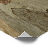 Boom Bark III Natuurlijk Abstract gestructureerd o Poster (Hoek)