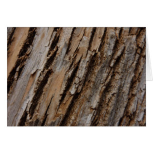 Boom Bast I Natuurlijk Abstract Getextureerd Ontwe
