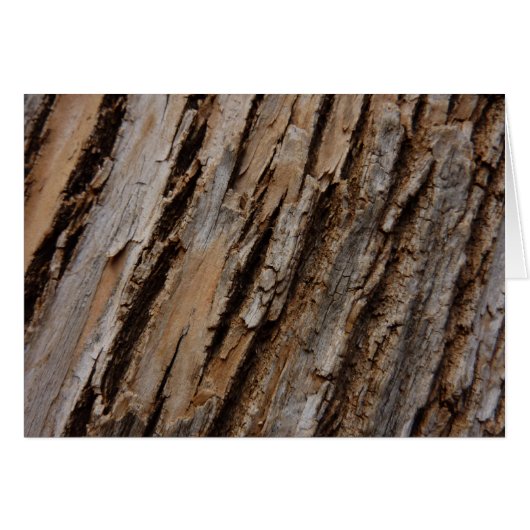 Boom Bast I Natuurlijk Abstract Getextureerd Ontwe (Voorkant Horizontaal)