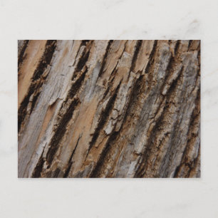 Boom Bast I Natuurlijk Abstract Getextureerd Ontwe Briefkaart