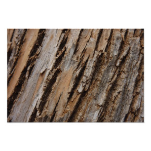 Boom Bast I Natuurlijk Abstract Getextureerd Ontwe Foto Afdruk