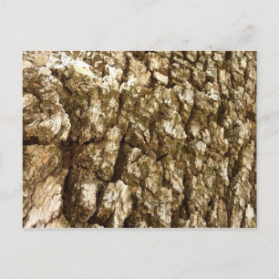 Boom Bast II Natuurlijk Textuur Design Briefkaart