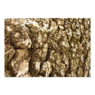 Boom Bast II Natuurlijk Textuur Design Foto Afdruk