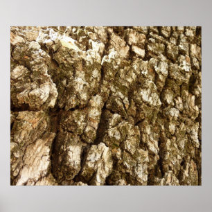 Boom Bast II Natuurlijk Textuurontwerp Poster