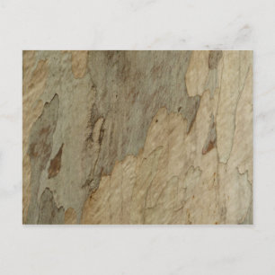 Boom Bast III Natuurlijk Abstract Getextureerd Ont Briefkaart