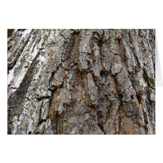 Boom Bast IV Abstracte Natuur (Voorkant Horizontaal)