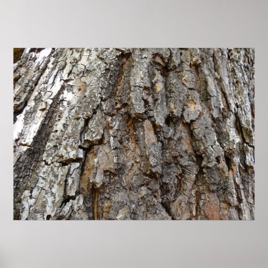 Boom Bast IV Abstracte Natuur Poster (Voorkant)