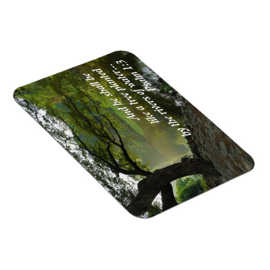 Boom beplant met water, Psalm 1:3, Schrift Magneet (Rechterzijde)
