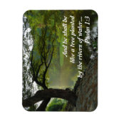 Boom beplant met water, Psalm 1:3, Schrift Magneet (Verticaal)
