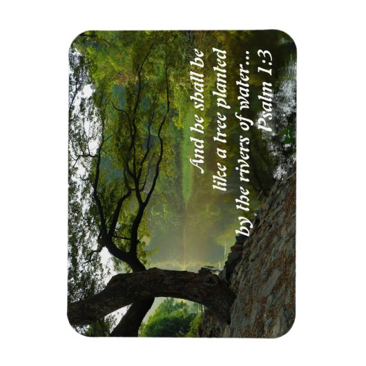 Boom beplant met water, Psalm 1:3, Schrift Magneet (Verticaal)