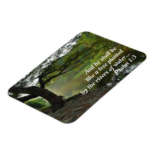 Boom beplant met water, Psalm 1:3, Schrift Magneet (Linkerzijde)