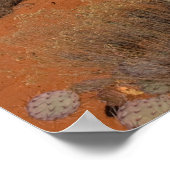 Boom bij Courthouse Butte 2016 Poster (Hoek)