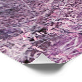 Boom bij Dunbar Perfect Poster (Hoek)