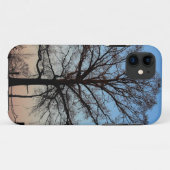 Boom bij Dusk iPhone 5 Case-Mate iPhone Case (Achterkant (horizontaal))