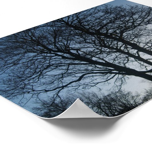 Boom bij Dusk Poster (Hoek)