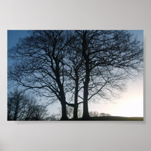 Boom bij Dusk Poster