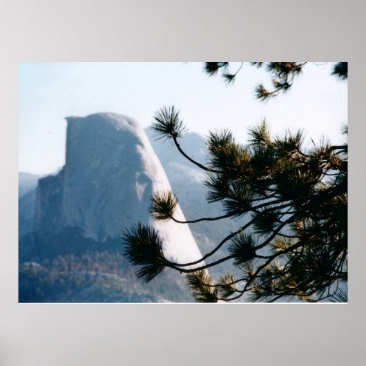 Boom bij Half Dome Poster (Voorkant)
