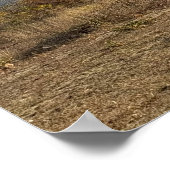 Boom bij het River Poster (Hoek)