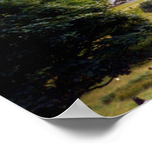 Boom bij Powerscourt-Herfsten Poster (Hoek)