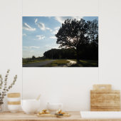 Boom bij Valley Forge Poster/ Print (Keuken)