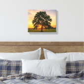 Boom bij zonsondergang canvas afdruk (Insitu (Slaapkamer))