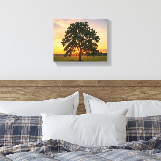Boom bij zonsondergang canvas afdruk (Insitu (Slaapkamer))
