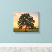 Boom bij zonsondergang canvas afdruk (Insitu (Houten vloer))