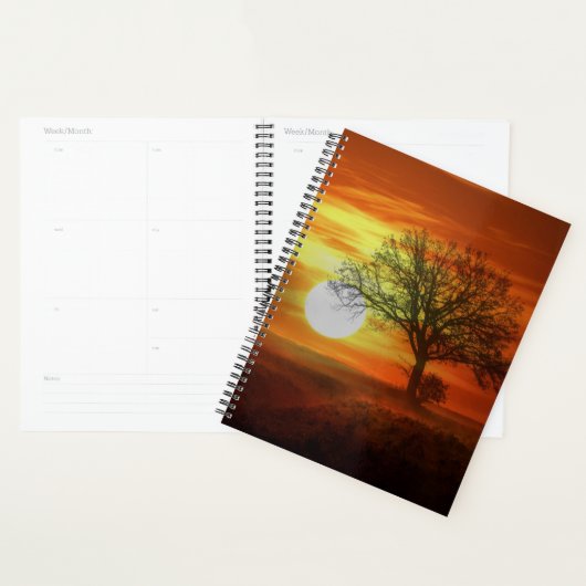Boom bij zonsondergang planner (Display)