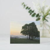 Boom bij zonsopgang briefkaart (Staand voorkant)