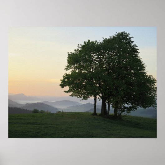 Boom bij zonsopgang poster (Voorkant)