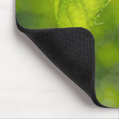 Boom blad bokeh muismat (Hoek)