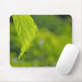 Boom blad bokeh muismat (Met muis)