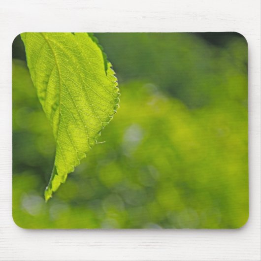 Boom blad bokeh muismat (Voorkant)