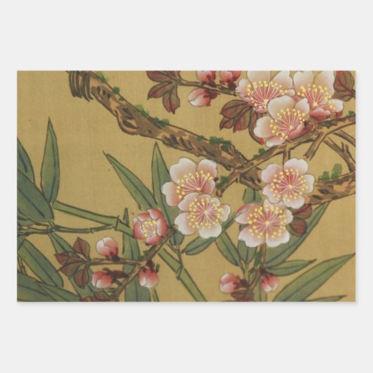 Boom bloesems pruimentuin Japans Inpakpapier Vel (Voorkant 3)