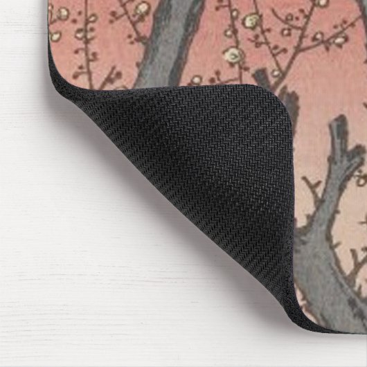 Boom bloesems pruimentuin Japans Muismat (Hoek)