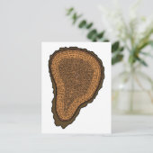 Boom boomstammen met dwarsdoorsnede Groeibomen Briefkaart (Staand voorkant)