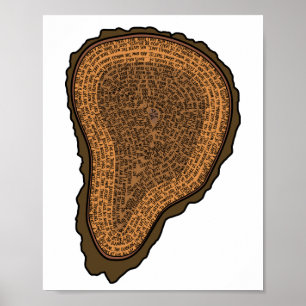 Boom boomstammen met dwarsdoorsnede Groeibomen Poster