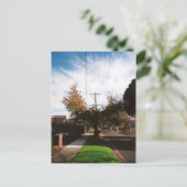 boom briefkaart (Staand voorkant)